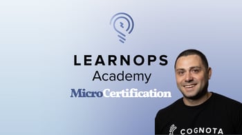 Foundations of Learning Operations (LearnOps)